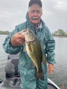 Largemouth Bass in Tennessee's scenic waters